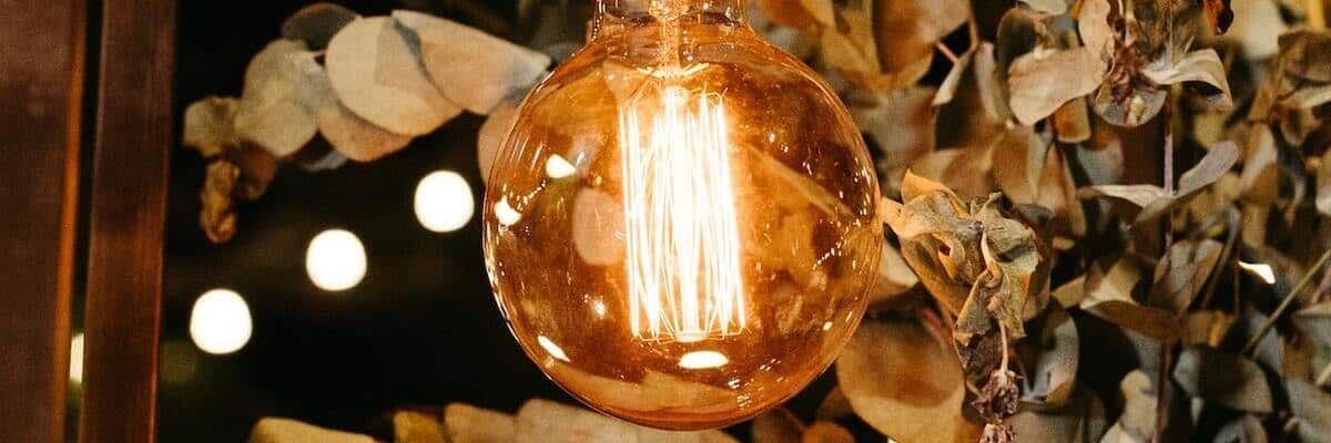 Read more about the article How to Connect Alexa to Home Appliances