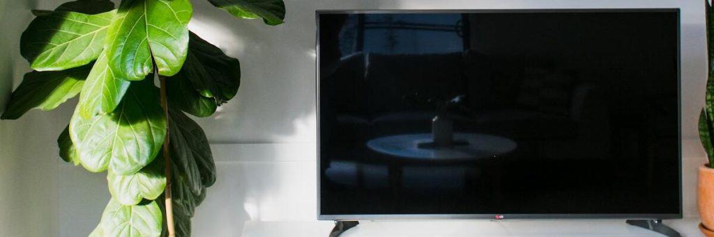 You can also connect Alexa to a TV as shown on this picture.