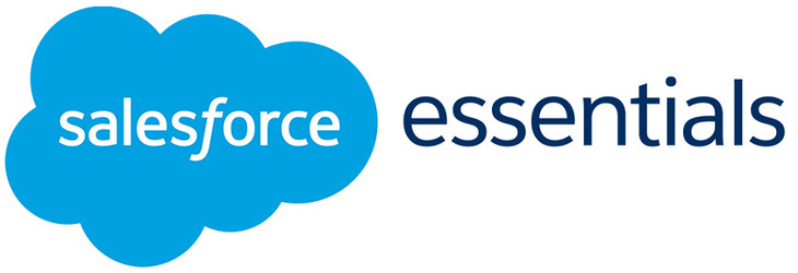 Salesforce Essential Logo
